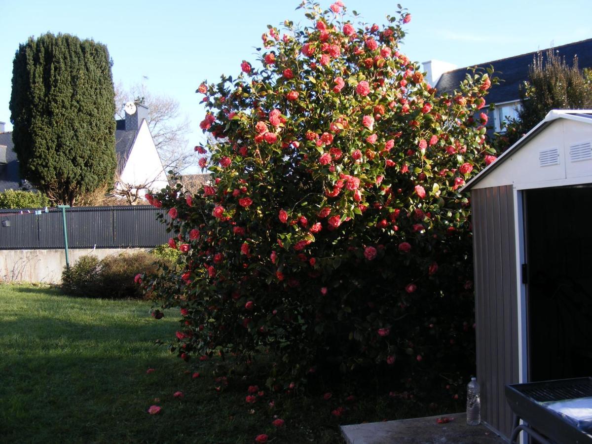 La Glycine Villa Fouesnant Eksteriør billede